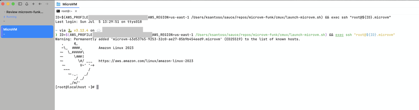 A cmux MicroVM workspace: the launcher runs and drops you at a root prompt on a fresh Amazon Linux 2023 box
