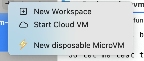 The custom "⚡ New disposable MicroVM" action in cmux's new-workspace right-click menu